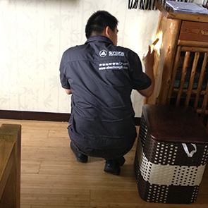 殺蟲公司 17C视频