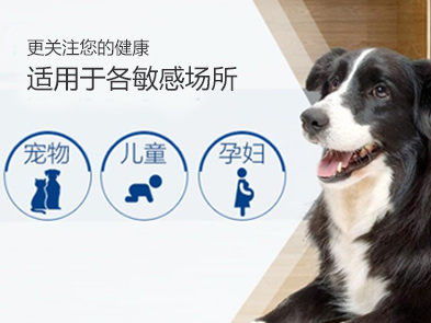 北京滅跳蚤公司，殺（shā）跳蚤公司哪家好